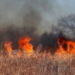 Wildfire containment efforts