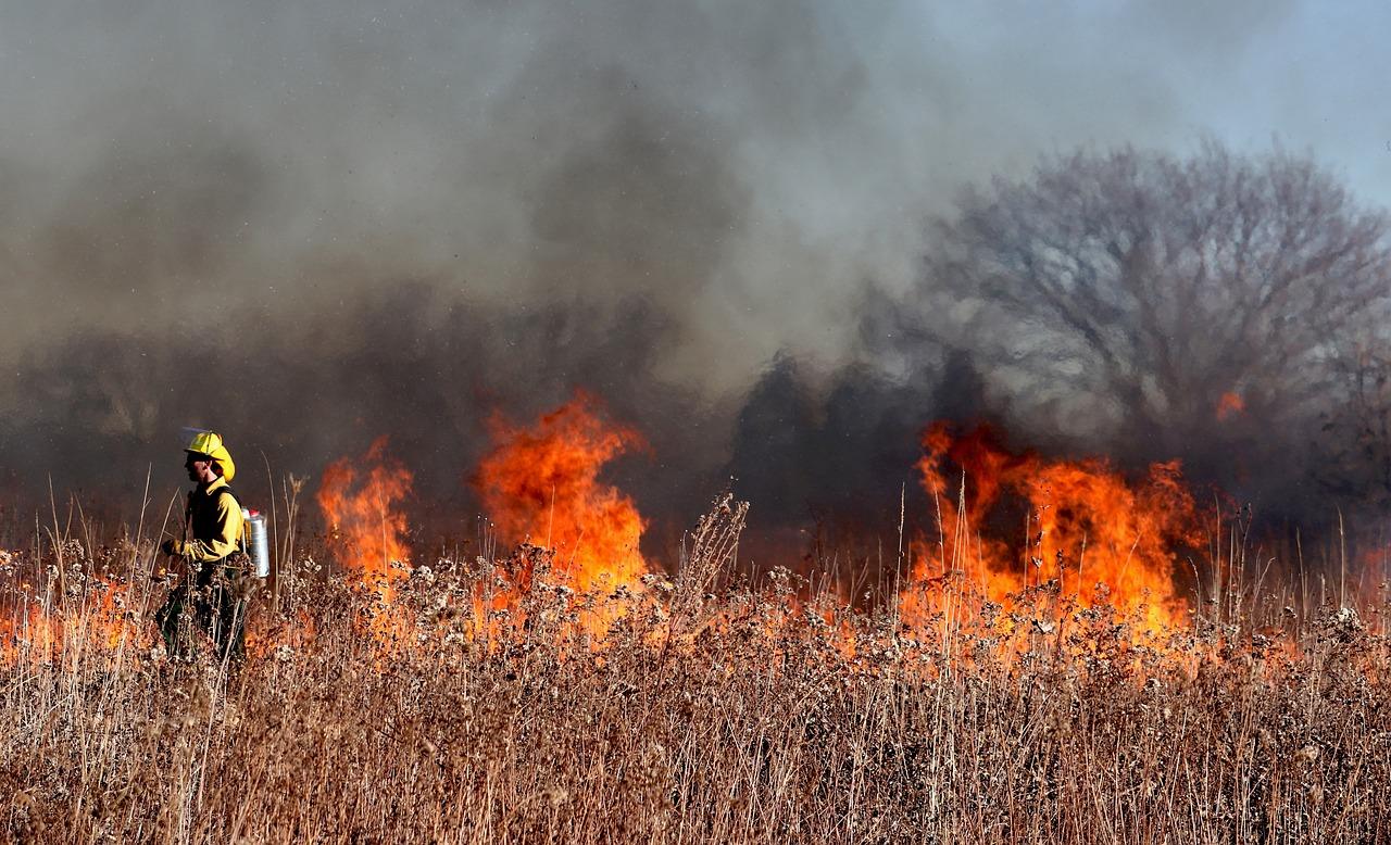 Firefighters try to contain a wildfire.